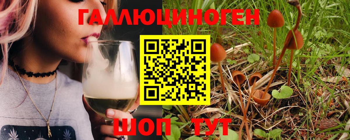 Псилоцибиновые грибы MAGIC MUSHROOMS Ангарск