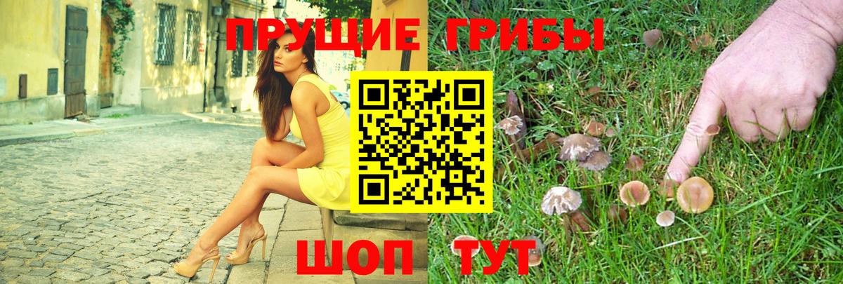 Галлюциногенные грибы Psilocybe Ангарск