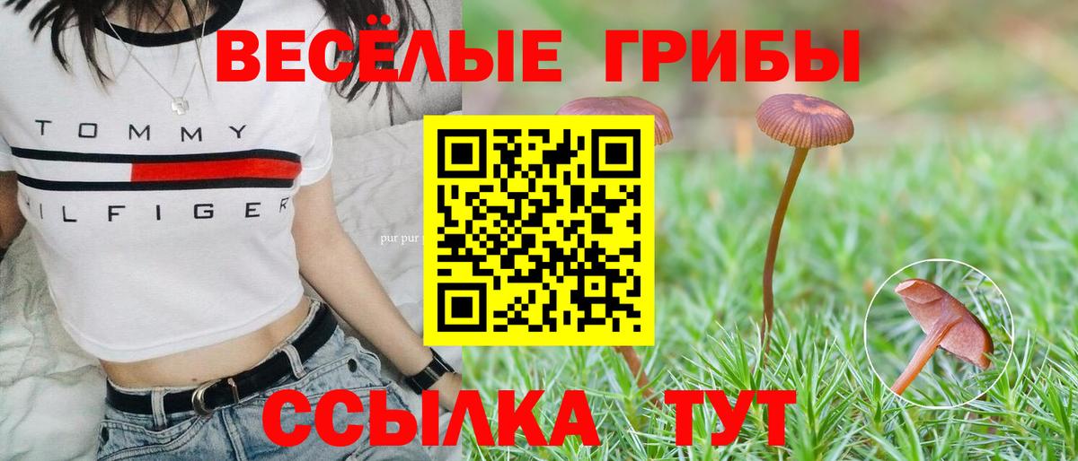 Ангарск  Галлюциногенные грибы мухоморы  наркошоп  Вход с VPN 