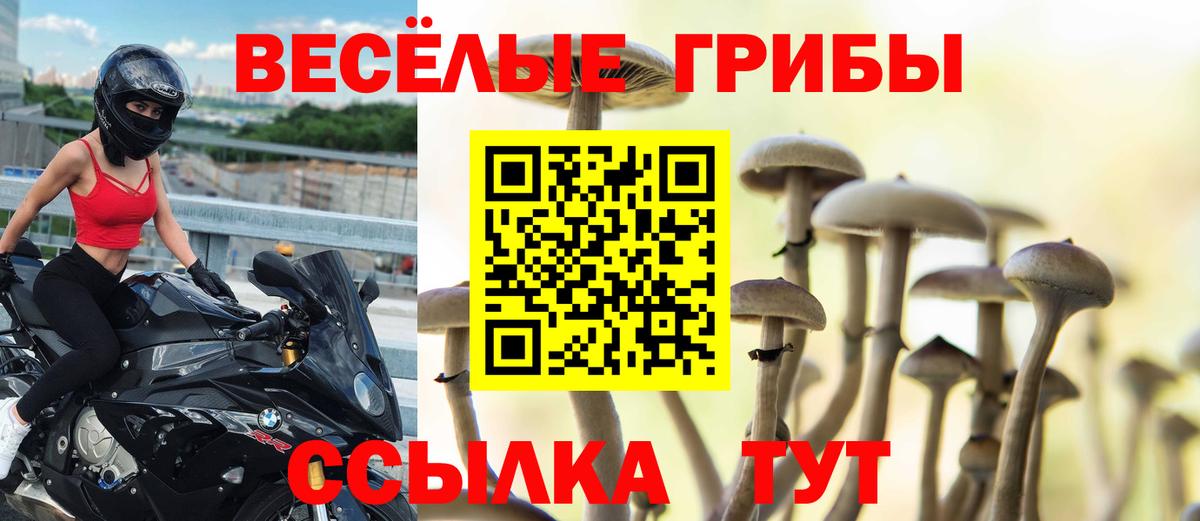 Ангарск  Галлюциногенные грибы Magic Shrooms  купить закладку  Вход с VPN 
