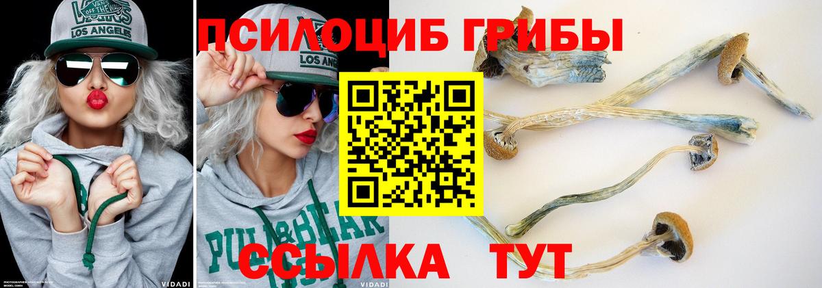 Псилоцибиновые грибы MAGIC MUSHROOMS  Галлюциногенные грибы GOLDEN TEACHER  Ангарск 